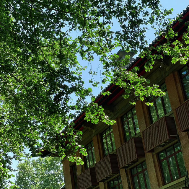闖入現實版綠野仙蹤🌿中山植物園北園治愈指南