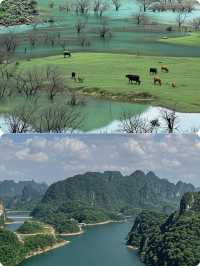 【五一反向狂奔！逃離人潮去百色赴一場山水之約吧～】