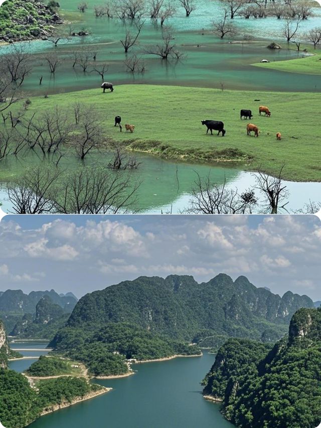 【五一反向狂奔！逃離人潮去百色赴一場山水之約吧～】