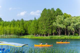 First time visiting Tiger Hill Wetland Park
