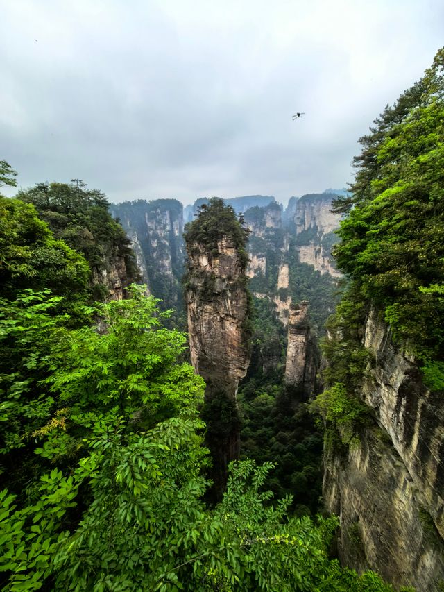 人生建議：帶娃去張家界，一定要去大峽谷