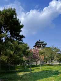 河北邯鄲•叢台公園•夜景超美的地方