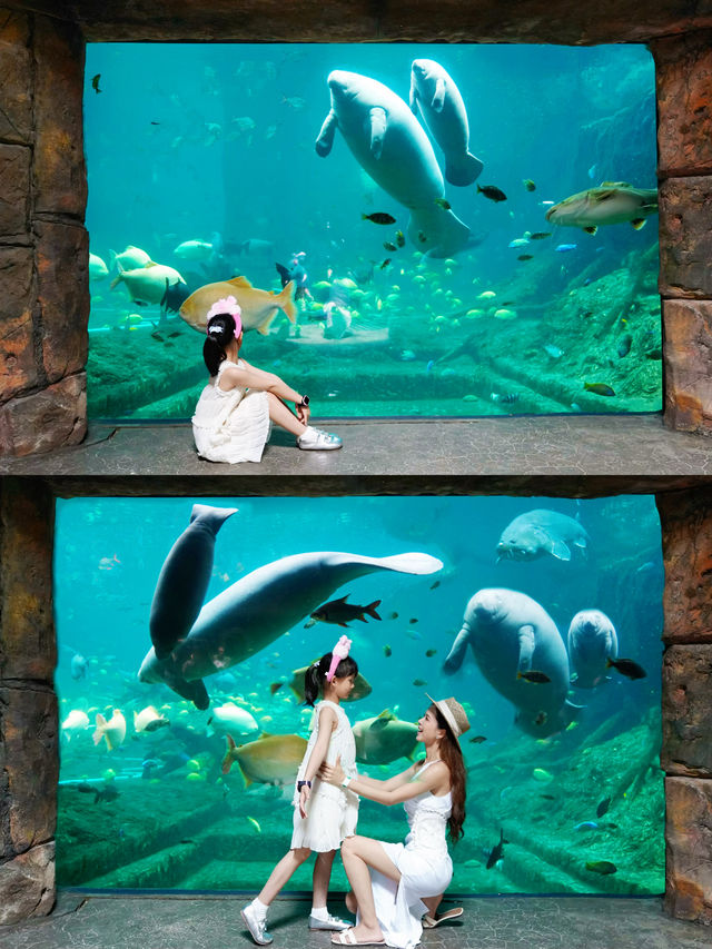珠海長隆海洋王國親子遊懶人包攻略！附隱藏玩法&慳錢技巧