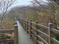 Amazing weekend getaway to Jeju Island, South Korea! 
