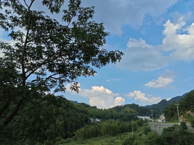 明都 花開半朵