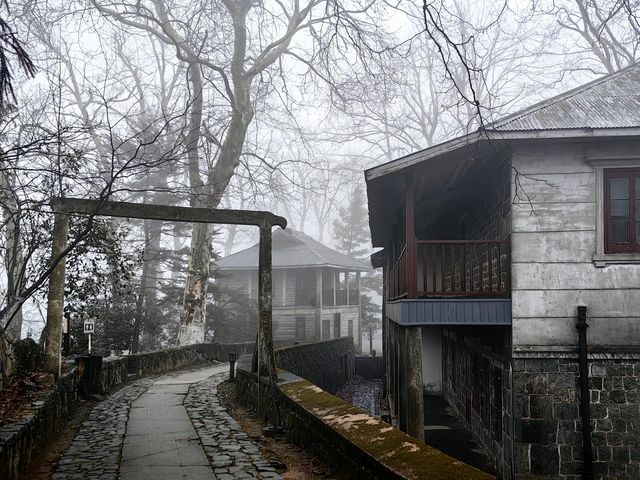 白雲悠悠之莫干山