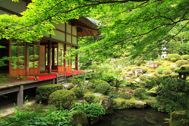 穿越千年京都：一座城市，半部日本史