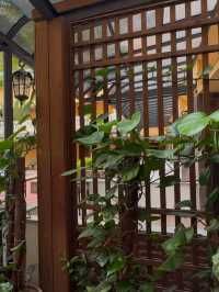 版納雨林的覺醒！入住傣泰風情的光影宮殿。
