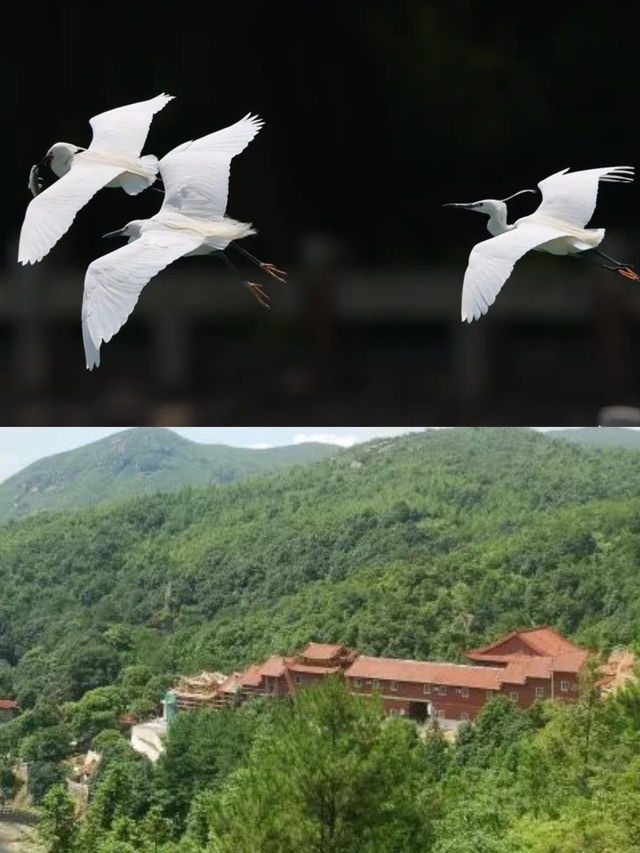 雨季漫遊指南！一鍵解鎖福建賞雨寶藏地~