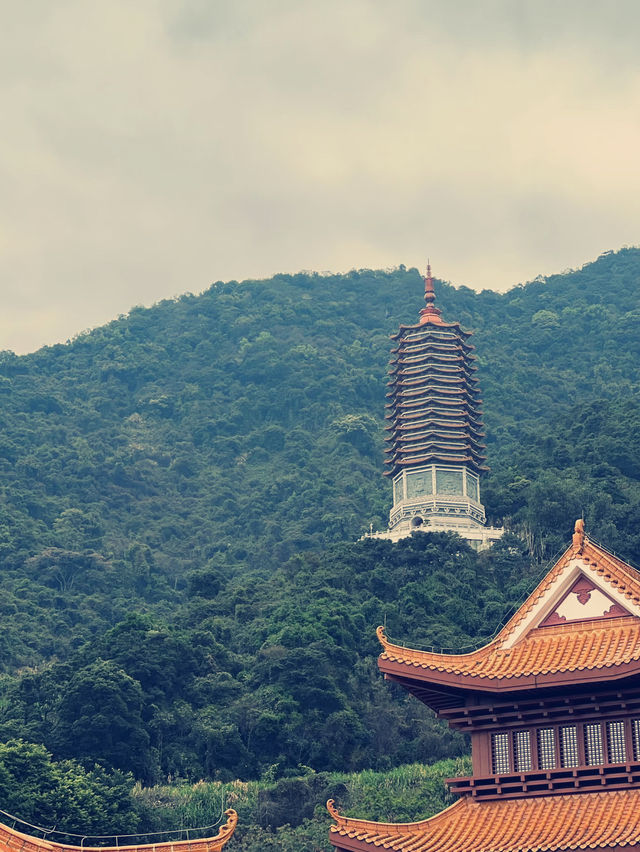 深圳弘法寺｜尋覓心靈淨土的奇幻之旅