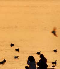 星程西昌邛海濕地公園萬達廣場酒店：暢享邛海畔的舒適度假時光