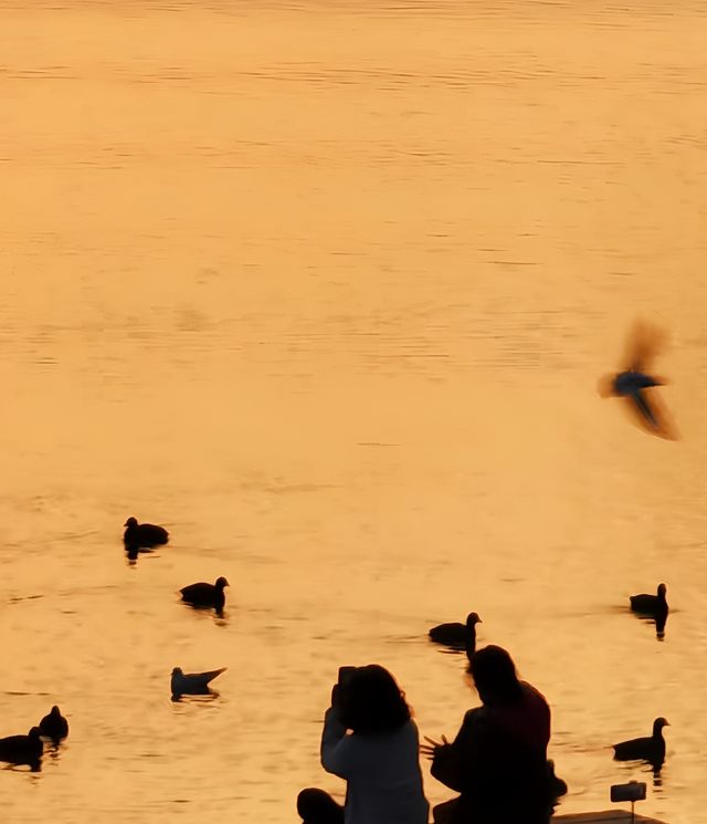 星程西昌邛海濕地公園萬達廣場酒店：暢享邛海畔的舒適度假時光