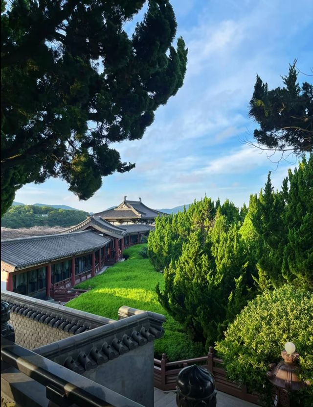 《2025普陀山終極旅遊攻略：朝聖禮佛與海島風光的完美結合》