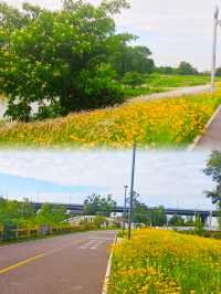 夏日消暑指南：黃昏去濕地公園追一場橘子味日落啦！