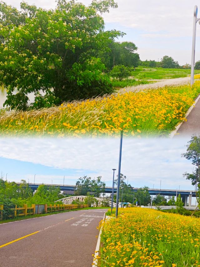 夏日消暑指南：黃昏去濕地公園追一場橘子味日落啦！