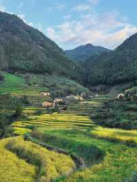 武夷山後源村｜秘境中的梯田古厝伴雲生