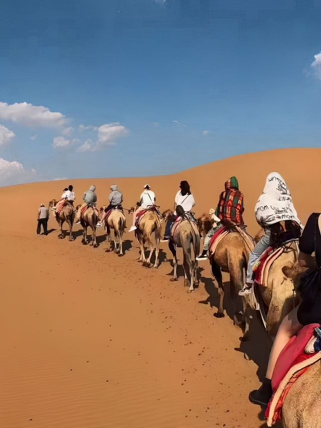 迎沙好夢露營基地：沙漠與星空的浪漫之旅