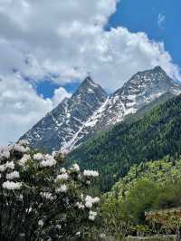 講真話可能難聽，但呢啲都係四姑娘山6-7月嘅真實情況