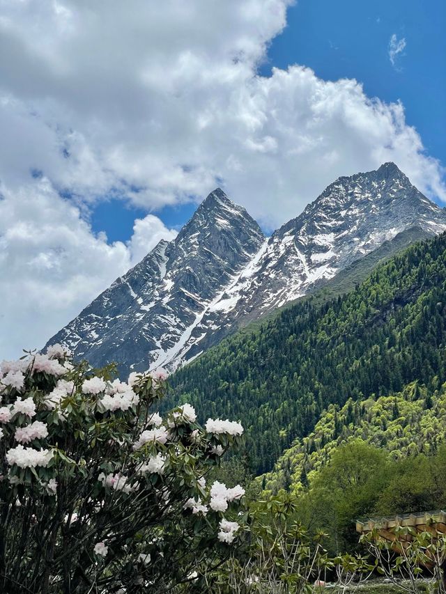 講真話可能難聽，但呢啲都係四姑娘山6-7月嘅真實情況