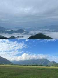 探秘「華中屋脊」，邂逅野人傳說！