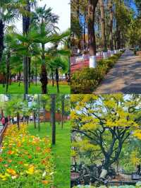 「昆明翠湖公園：城市中的詩意綠寶石」