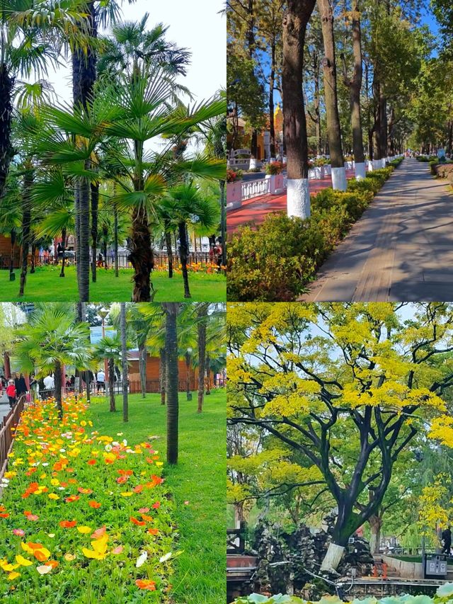 「昆明翠湖公園：城市中的詩意綠寶石」
