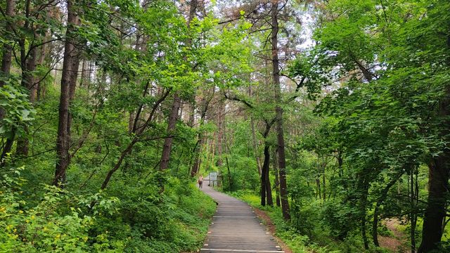 延吉帽兒山森林公園景區