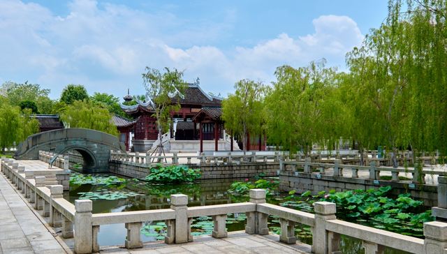 滿池粉白映碧葉，園博苑木化石園荷花初綻迎客來
