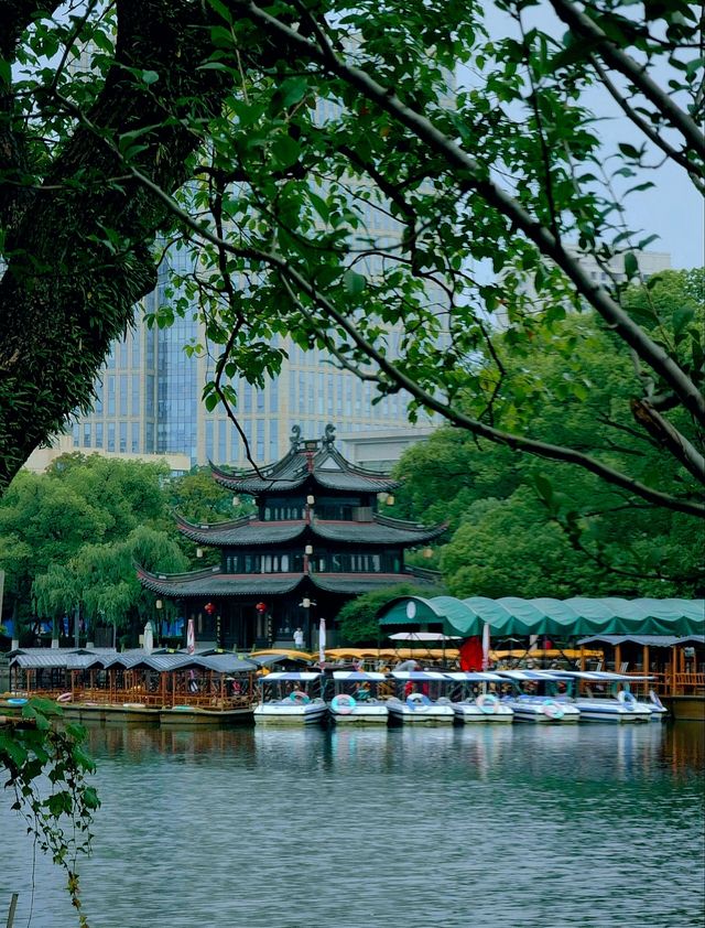 寧波月湖公園｜免費遊千年城市園林，慢品老城煙火