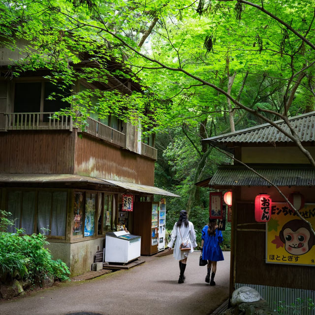 大阪Forest park森林公園🌲！都市綠肺秘境全攻略，吸氧放鬆必衝！