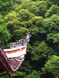 國清寺攻略·解鎖千年古剎的正確打開方式