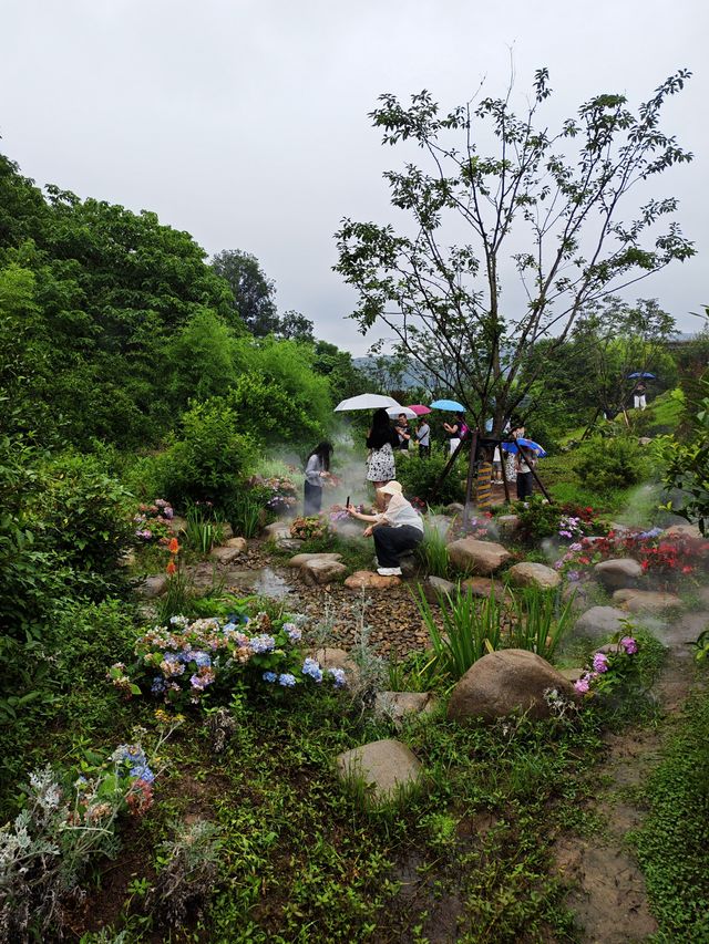 琵琶里霧森花海｜南北湖新晉仙境，每一步都係網紅大片！