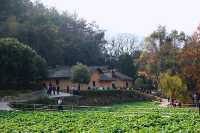 第一次去韶山毛澤東同志故居攻略，精心整理
