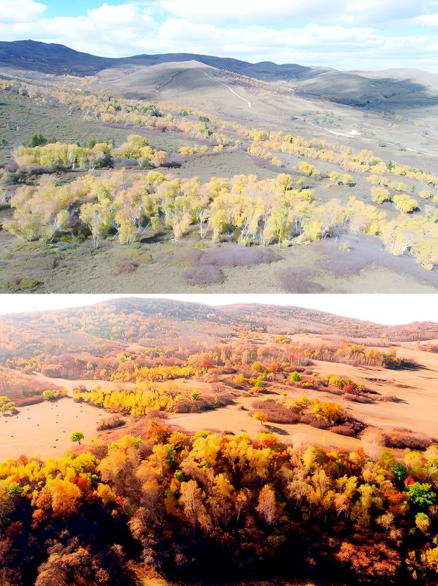 官方推薦！錫盟登攜程口碑榜遊山玩水目的地