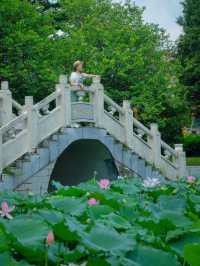 🪷 廣州夏日限定｜螺湧公園荷花拍照全攻略