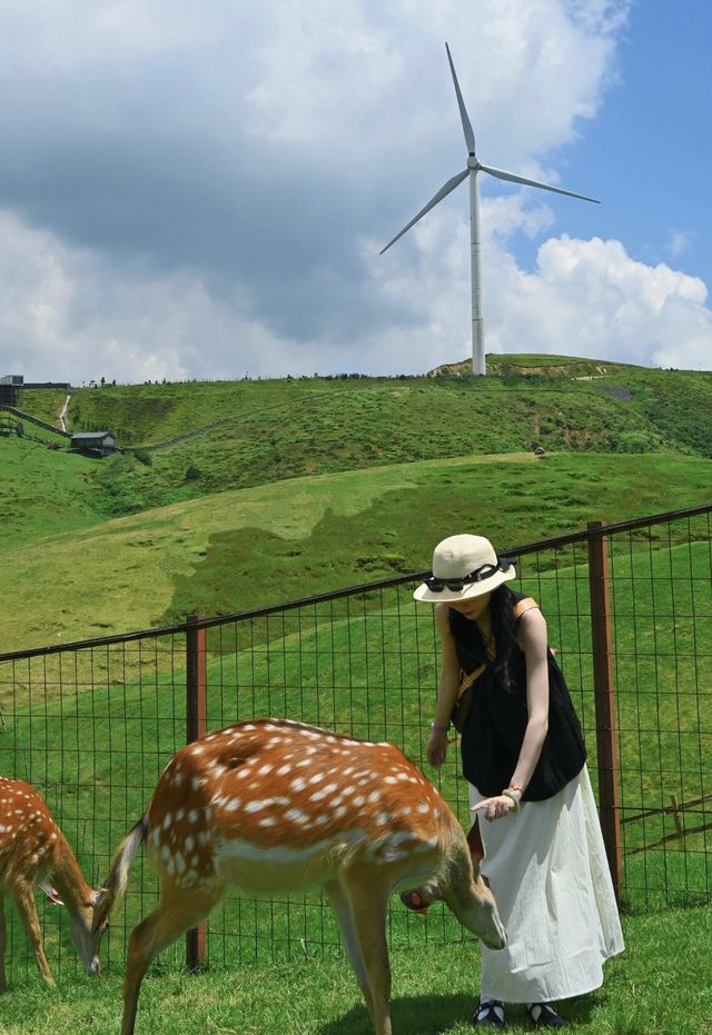 暑假帶小朋友出遊就來呢度！仰天湖大草原+雲莳里民宿攻略🏞