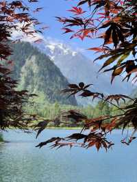 夏天嘅畢棚溝係唔需要濾鏡嘅美