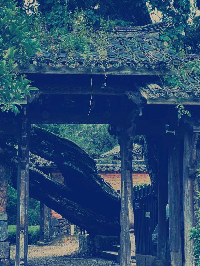浙江省景寧・時思寺　千年の歴史と自然が織りなす神秘的な旅​