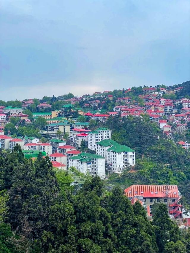救命！22℃嘅廬山簡直係夏天嘅救贖！建議即刻收藏呢份攻略