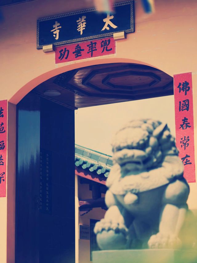 中国・陝西省隠れた名刹！太華古寺の魅力とおすすめガイド】​​