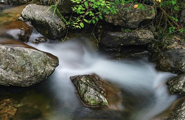 茶園村：隱於金華嘅山水詩境