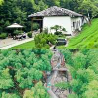 《安吉夏日消暑之旅：解鎖山水間的悠閒時光》