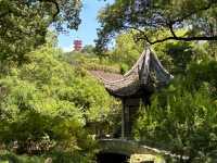 去了4次惠山古鎮，終於玩明白了！