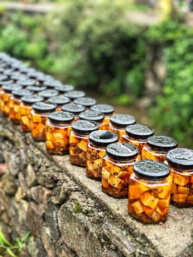去麗水縉雲反向遊，先至知道白雲深處真係有人家！