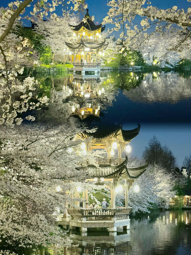 杭州·三月 | 西湖 （櫻花） 春天一定要來杭州玩杭州西湖櫻花真的太美啦  —太子灣：春