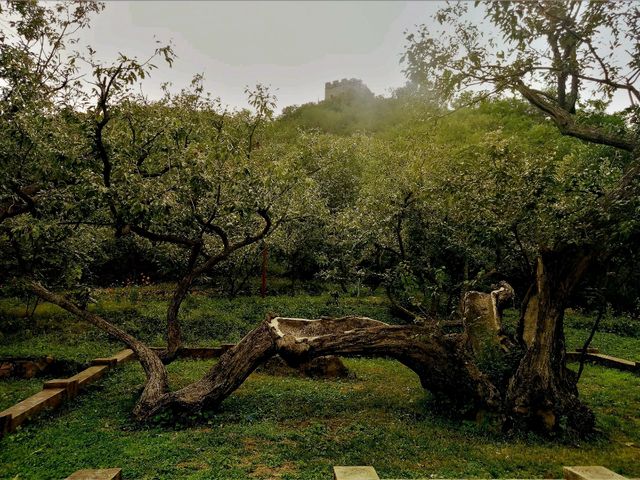Beijing’s Best Camping Locations: A Guide to Nature Escapes