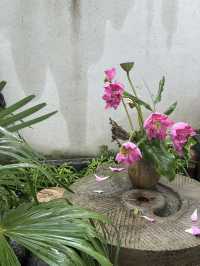 靜坐，閱讀，品茶，發呆——枕着山風入眠