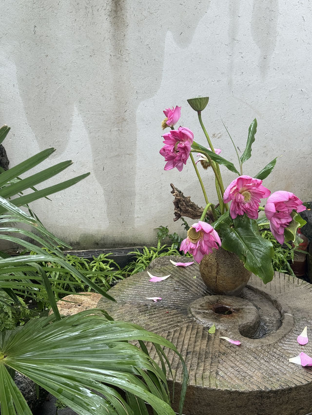 靜坐，閱讀，品茶，發呆——枕着山風入眠