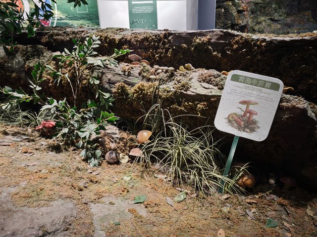 浙江自然博物館（安吉館）