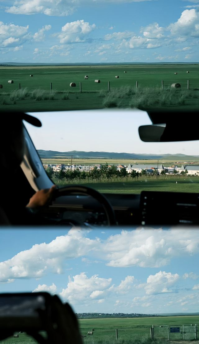 夏日草原夢